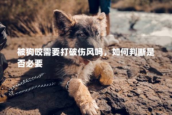 被狗咬需要打破傷風(fēng)嗎，如何判斷是否必要