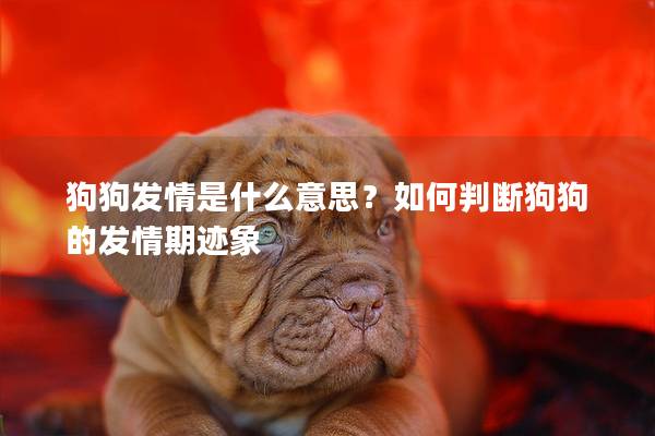 狗狗發情是什么意思？如何判斷狗狗的發情期跡象