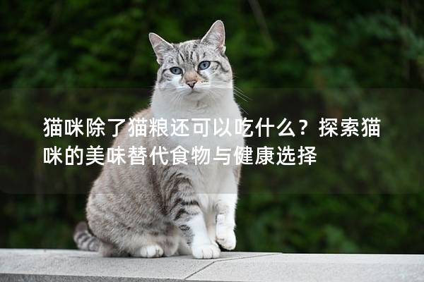 貓咪除了貓糧還可以吃什么？探索貓咪的美味替代食物與健康選擇