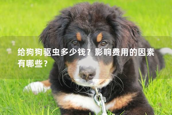 給狗狗驅(qū)蟲(chóng)多少錢？影響費(fèi)用的因素有哪些？