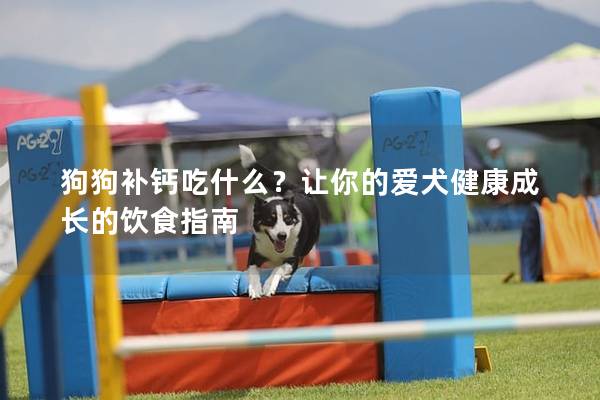 狗狗補鈣吃什么？讓你的愛犬健康成長的飲食指南