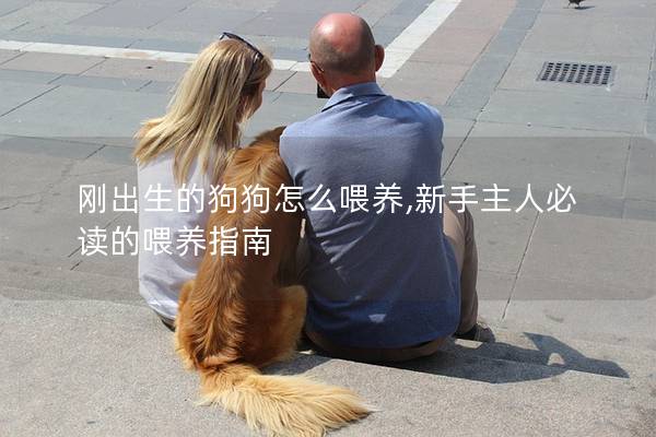 剛出生的狗狗怎么喂養(yǎng),新手主人必讀的喂養(yǎng)指南 剛出生的狗狗怎么喂養(yǎng),新手主人必讀的喂養(yǎng)指南