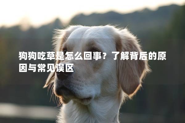 狗狗吃草是怎么回事？了解背后的原因與常見誤區(qū)