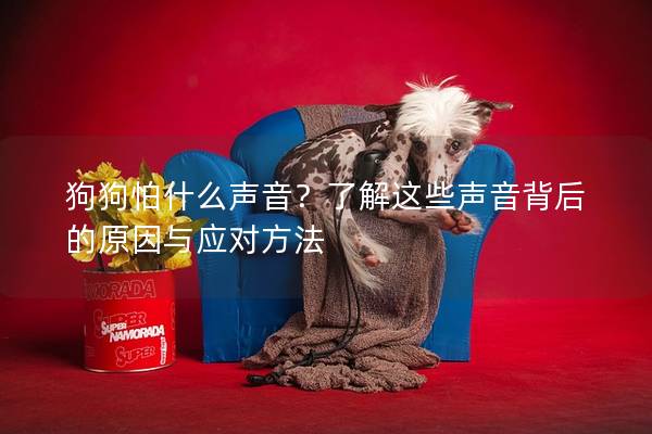 狗狗怕什么聲音？了解這些聲音背后的原因與應對方法
