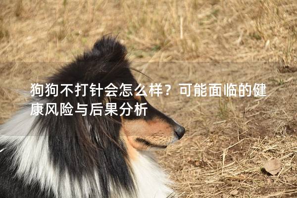 狗狗不打針會(huì)怎么樣？可能面臨的健康風(fēng)險(xiǎn)與后果分析