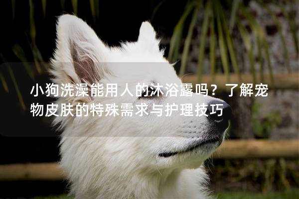 小狗洗澡能用人的沐浴露嗎？了解寵物皮膚的特殊需求與護理技巧