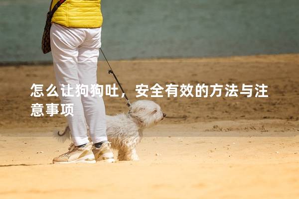 怎么讓狗狗吐，安全有效的方法與注意事項