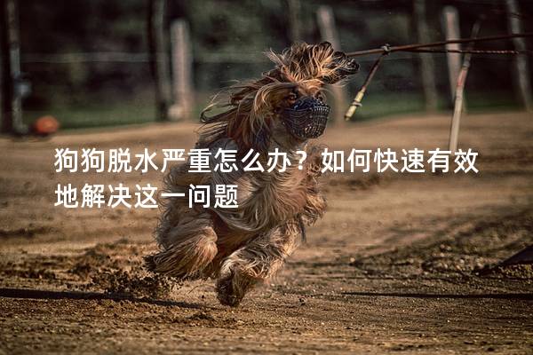 狗狗脫水嚴重怎么辦？如何快速有效地解決這一問題