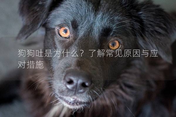 狗狗吐是為什么？了解常見原因與應對措施