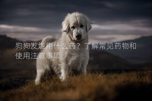 狗狗發(fā)燒用什么藥？了解常見藥物和使用注意事項(xiàng)
