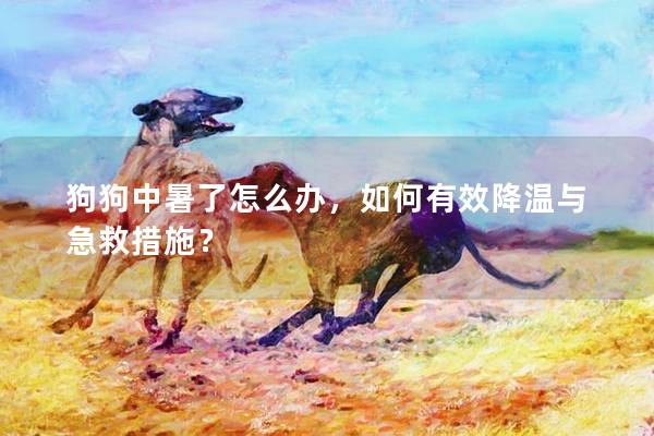 狗狗中暑了怎么辦，如何有效降溫與急救措施？