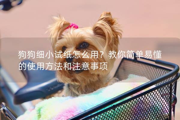 狗狗細(xì)小試紙怎么用？教你簡單易懂的使用方法和注意事項