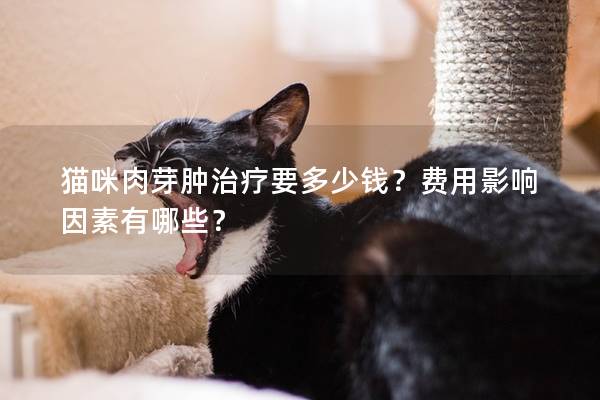 貓咪肉芽腫治療要多少錢？費用影響因素有哪些？