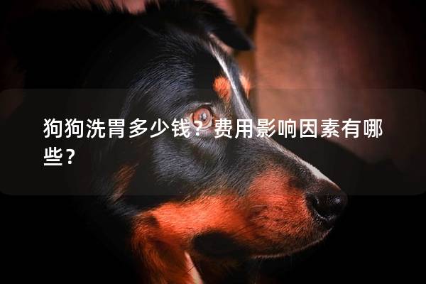 狗狗洗胃多少錢？費用影響因素有哪些？