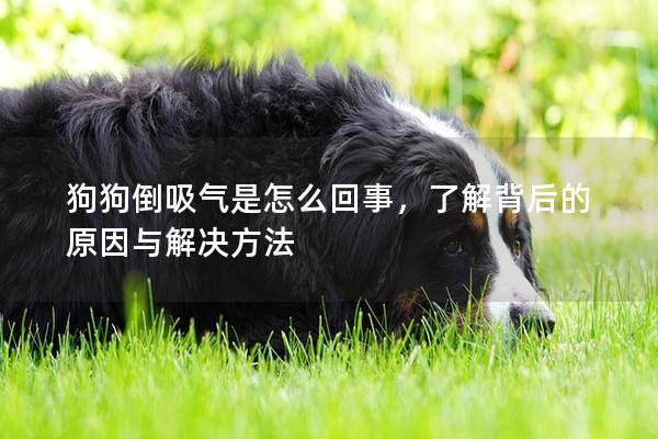 狗狗倒吸氣是怎么回事，了解背后的原因與解決方法