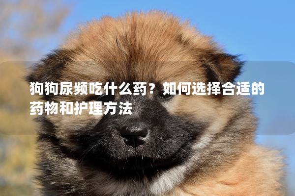 狗狗尿頻吃什么藥？如何選擇合適的藥物和護理方法