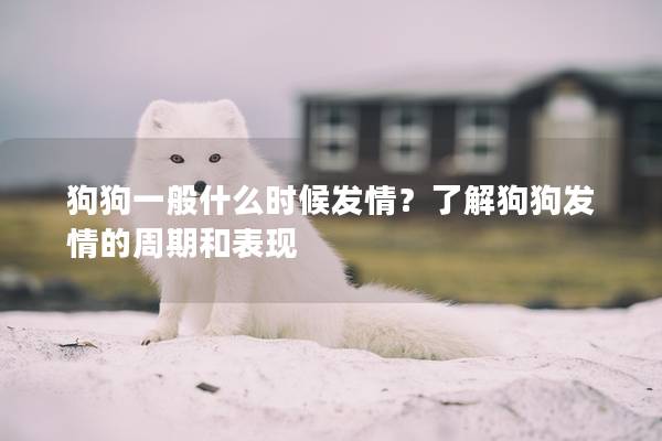 狗狗一般什么時候發情？了解狗狗發情的周期和表現