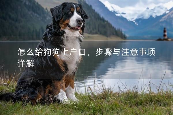 怎么給狗狗上戶口,步驟與注意事項詳解 怎么給狗狗上戶口,步驟與注意事項詳解