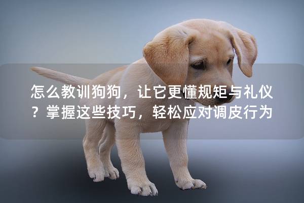 怎么教訓狗狗，讓它更懂規矩與禮儀？掌握這些技巧，輕松應對調皮行為