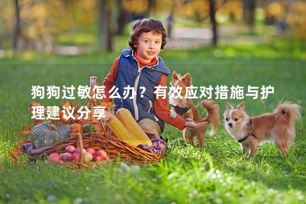 狗狗過敏怎么辦？有效應對措施與護理建議分享