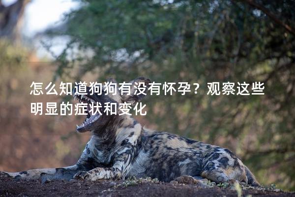 怎么知道狗狗有沒有懷孕?觀察這些明顯的癥狀和變化 怎么知道狗狗有沒有懷孕?觀察這些明顯的癥狀和變化