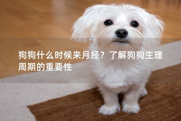 狗狗什么時候來月經？了解狗狗生理周期的重要性