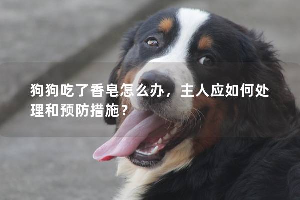 狗狗吃了香皂怎么辦，主人應如何處理和預防措施？