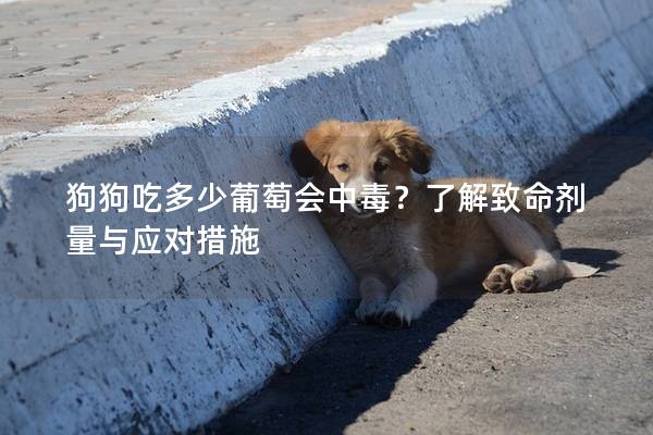 狗狗吃多少葡萄會中毒？了解致命劑量與應對措施