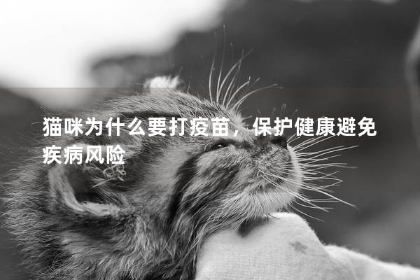 貓咪為什么要打疫苗，保護健康避免疾病風險