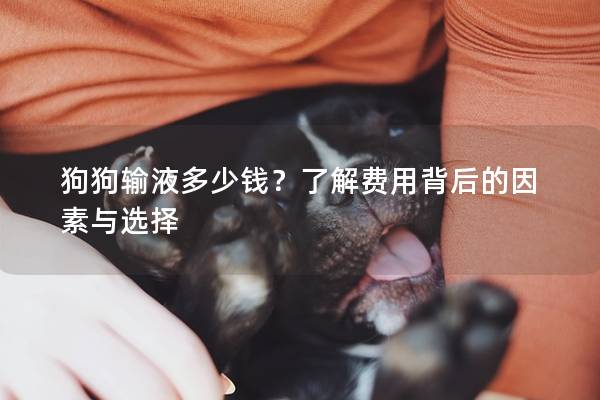 狗狗輸液多少錢?了解費用背后的因素與選擇 狗狗輸液多少錢?了解費用背后的因素與選擇