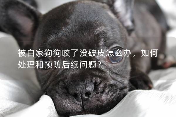 被自家狗狗咬了沒破皮怎么辦，如何處理和預(yù)防后續(xù)問題？