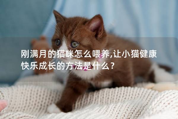 剛滿月的貓咪怎么喂養,讓小貓健康快樂成長的方法是什么？
