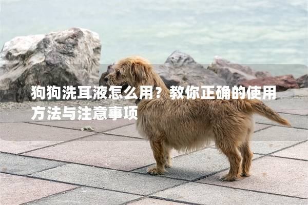 狗狗洗耳液怎么用？教你正確的使用方法與注意事項(xiàng)