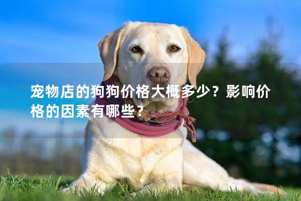 寵物店的狗狗價格大概多少？影響價格的因素有哪些？