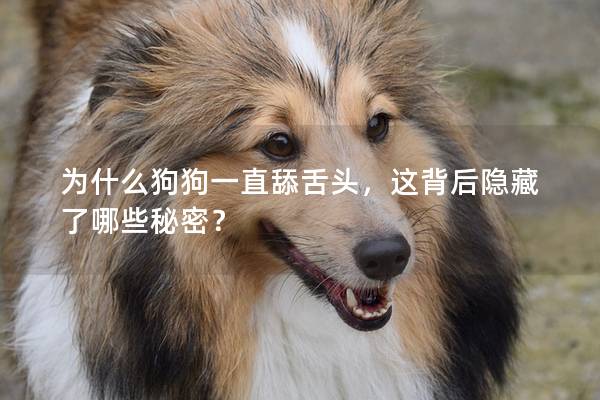為什么狗狗一直舔舌頭，這背后隱藏了哪些秘密？