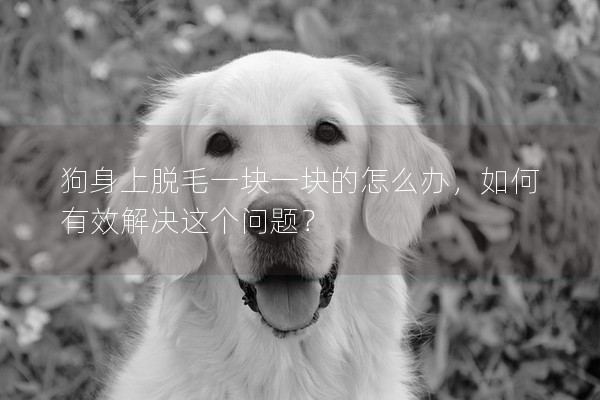 狗身上脫毛一塊一塊的怎么辦，如何有效解決這個(gè)問(wèn)題？