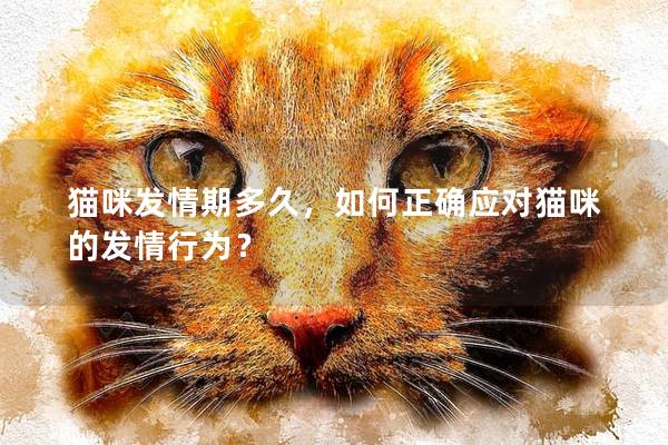 貓咪發(fā)情期多久，如何正確應(yīng)對貓咪的發(fā)情行為？