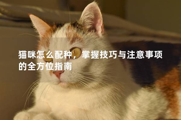 貓咪怎么配種，掌握技巧與注意事項的全方位指南