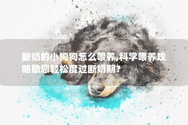 斷奶的小狗狗怎么喂養,科學喂養攻略助您輕松度過斷奶期？
