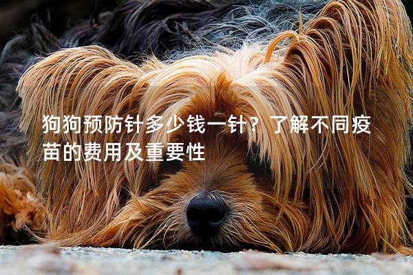 狗狗預(yù)防針多少錢一針?了解不同疫苗的費(fèi)用及重要性 狗狗預(yù)防針多少錢一針?了解不同疫苗的費(fèi)用及重要性