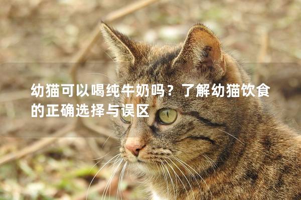 幼貓可以喝純牛奶嗎？了解幼貓飲食的正確選擇與誤區