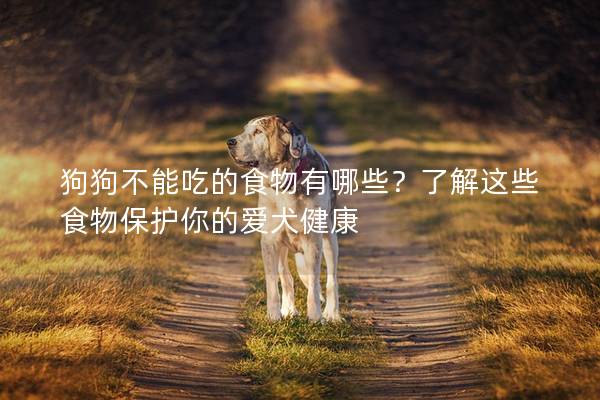 狗狗不能吃的食物有哪些？了解這些食物保護你的愛犬健康