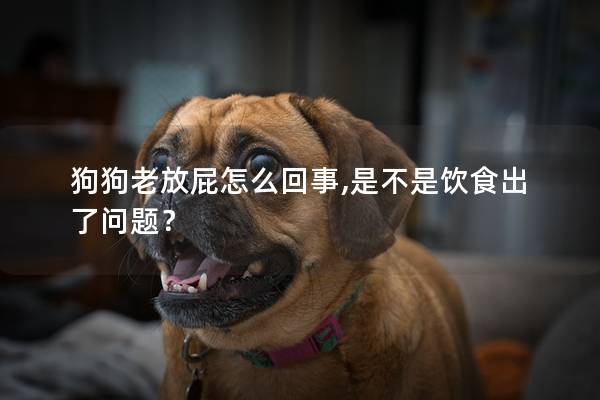狗狗老放屁怎么回事,是不是飲食出了問題？