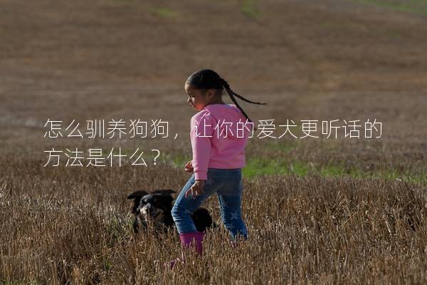 怎么馴養(yǎng)狗狗，讓你的愛犬更聽話的方法是什么？