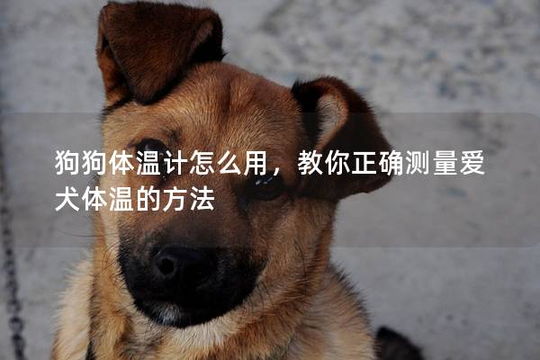 狗狗體溫計(jì)怎么用,教你正確測量愛犬體溫的方法 狗狗體溫計(jì)怎么用,教你正確測量愛犬體溫的方法