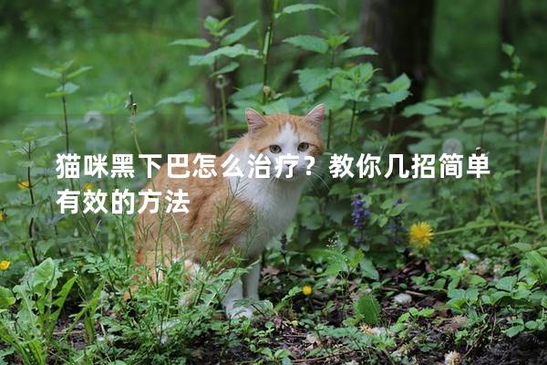 貓咪黑下巴怎么治療？教你幾招簡(jiǎn)單有效的方法