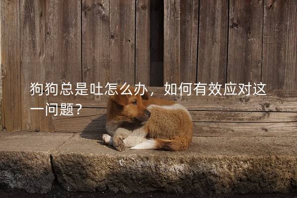 狗狗總是吐怎么辦，如何有效應對這一問題？