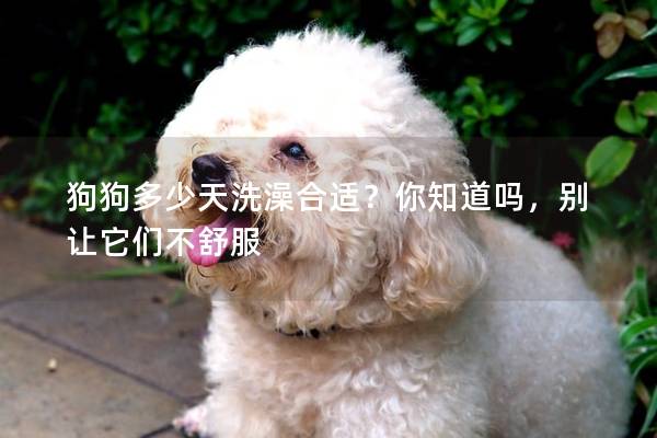 狗狗多少天洗澡合適？你知道嗎，別讓它們不舒服