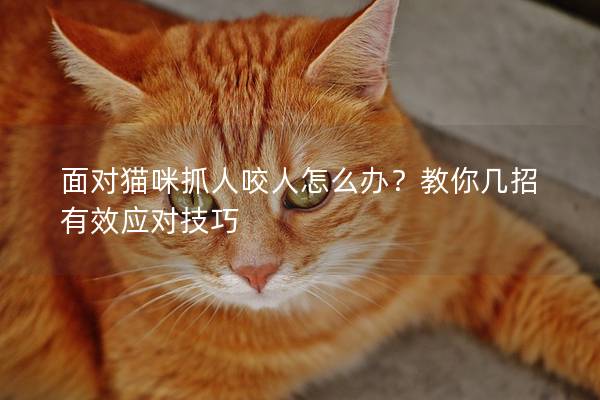 面對貓咪抓人咬人怎么辦？教你幾招有效應對技巧