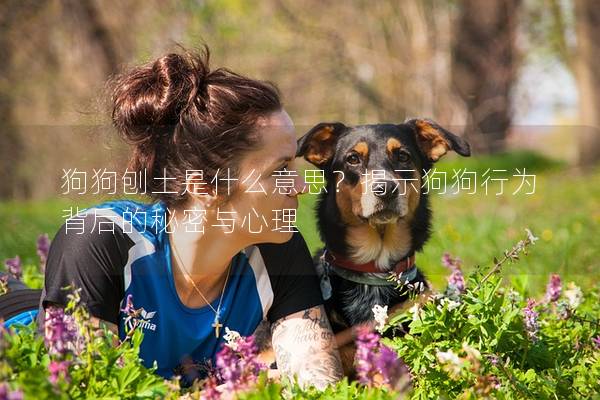 狗狗刨土是什么意思？揭示狗狗行為背后的秘密與心理